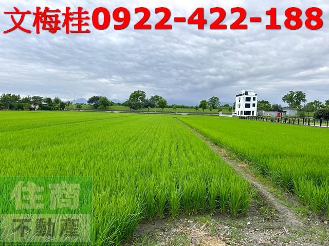 宜蘭員山農糧加工-2