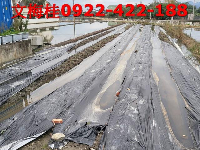 宜蘭員山農糧加工-3