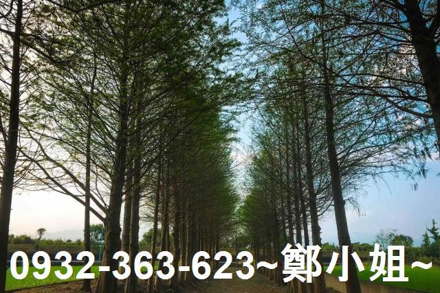 宜蘭農舍-5