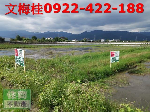 宜蘭農地-10