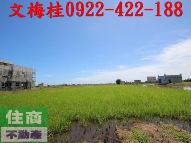 礁溪農地-0