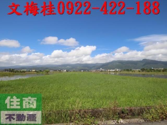 礁溪農地-3