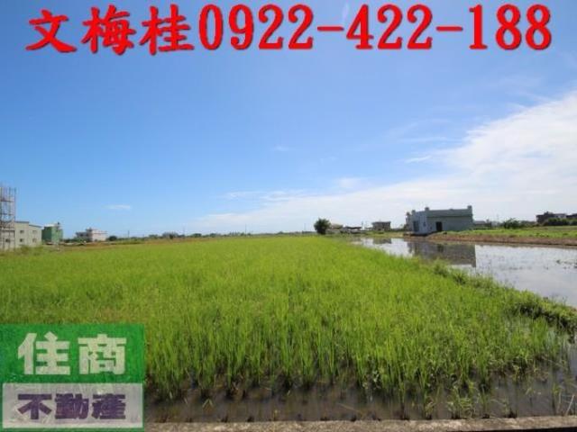 礁溪農地-4