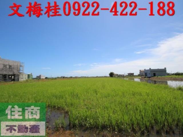 礁溪農地-6