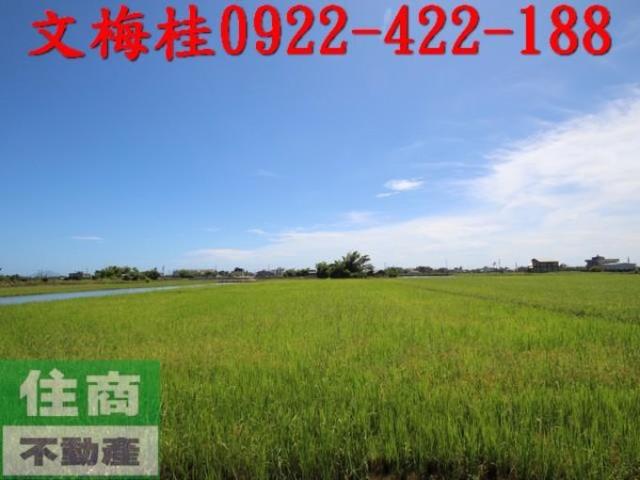 礁溪農地-7