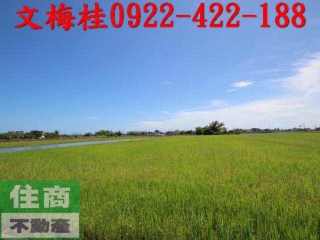 礁溪農地-8