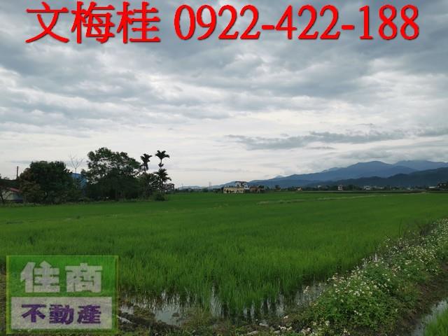 宜蘭農地-1