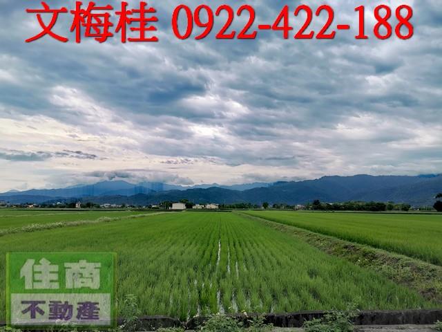 宜蘭農地-3