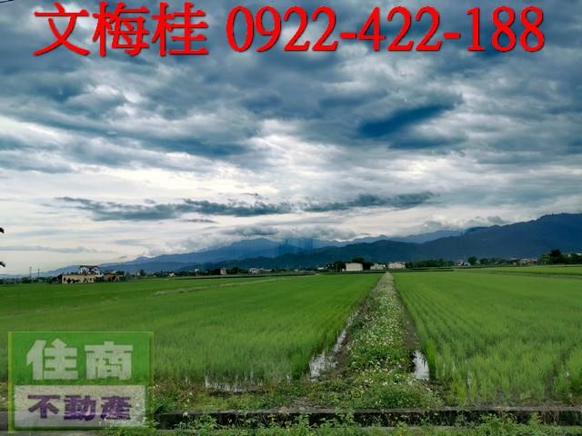 宜蘭農地-6