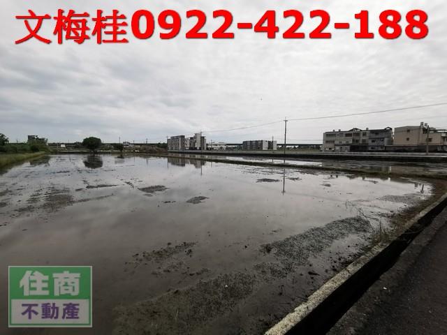 礁溪農地-2
