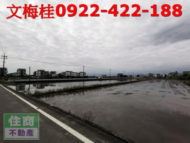 礁溪農地-3