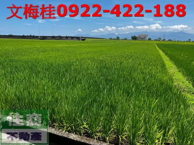 壯圍農地-4