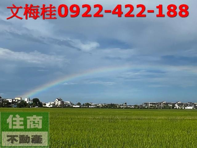 壯圍農地-5
