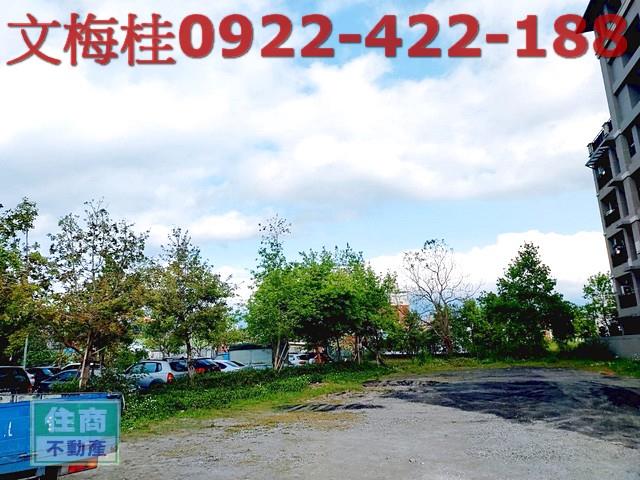 宜蘭建地-1