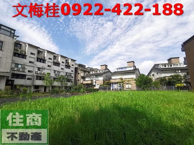 宜蘭建地-1