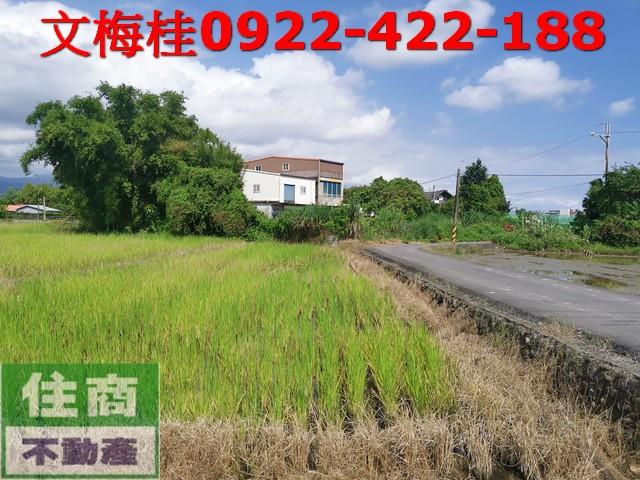 宜蘭市農地-0