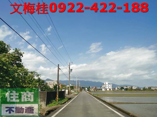 宜蘭農地-2