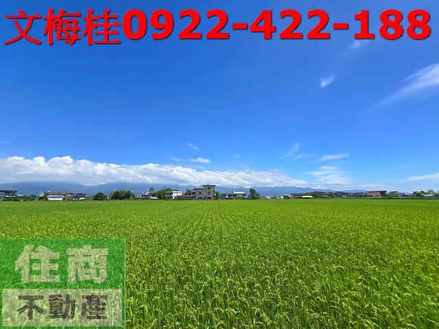 宜蘭壯圍農地-2