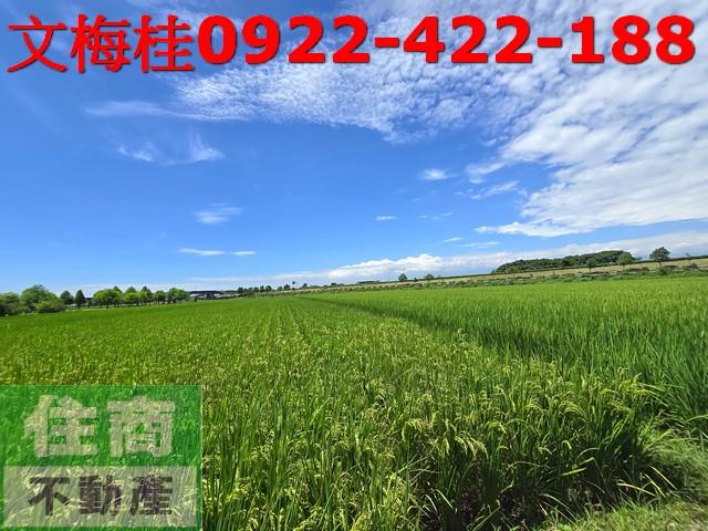宜蘭壯圍農地-4