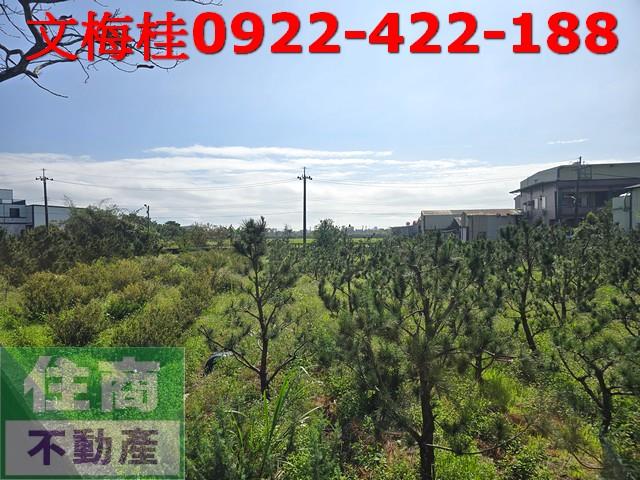 宜蘭頭城農地-0