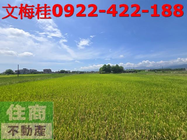 員山農地-0