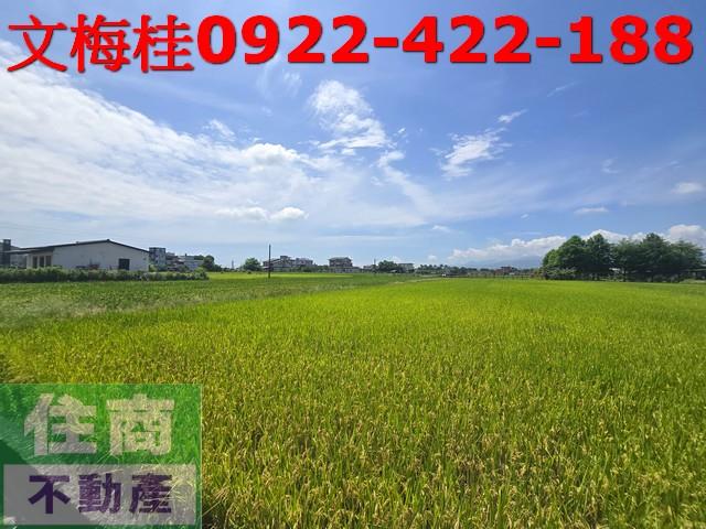 員山農地-1