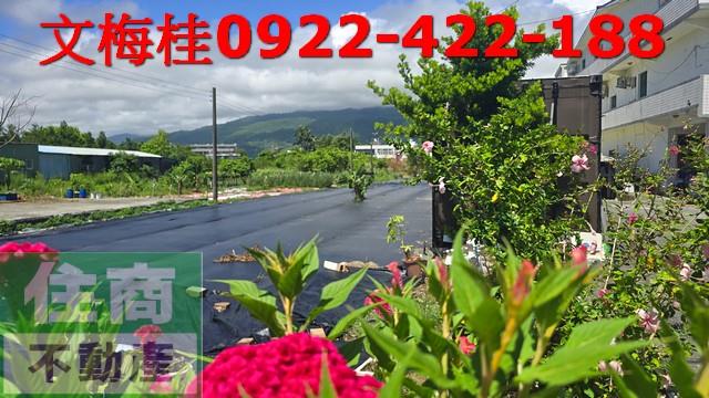 頭城農地-4