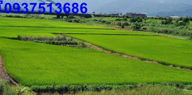 宜蘭宜蘭市農地-5