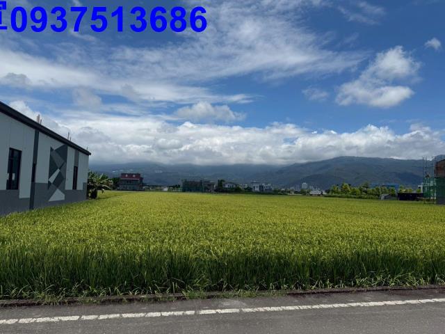 礁溪農地-8