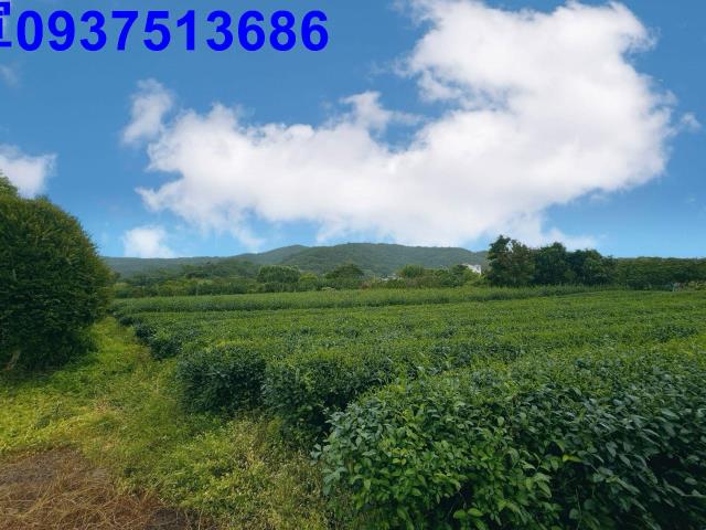 冬山農地-12
