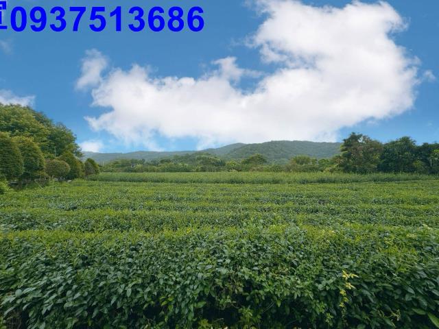 冬山農地-13
