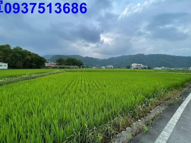 員山農地-0