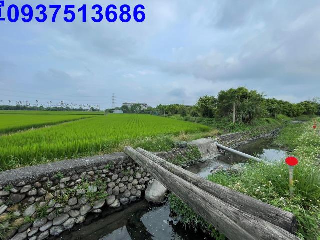 員山農地-6
