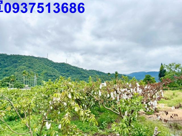 員山農地-1
