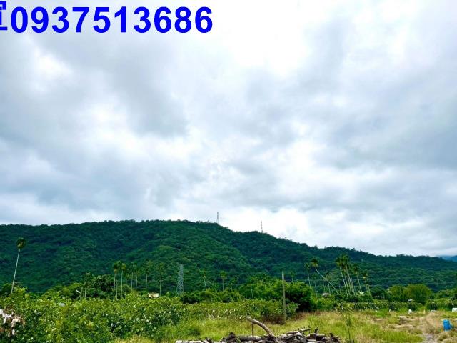 員山農地-4