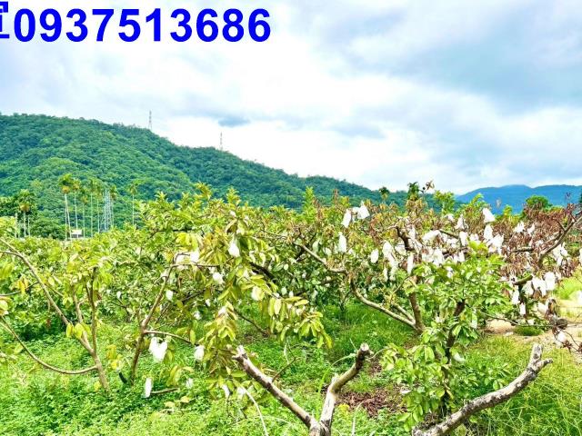員山農地-5