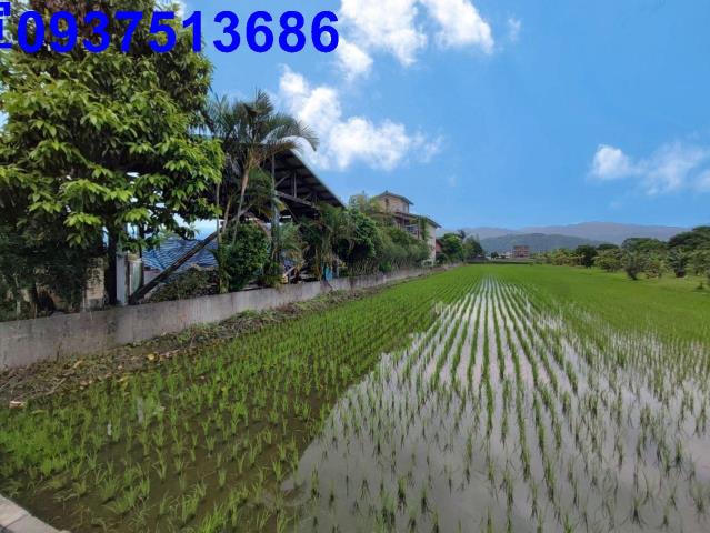 宜蘭農地-13