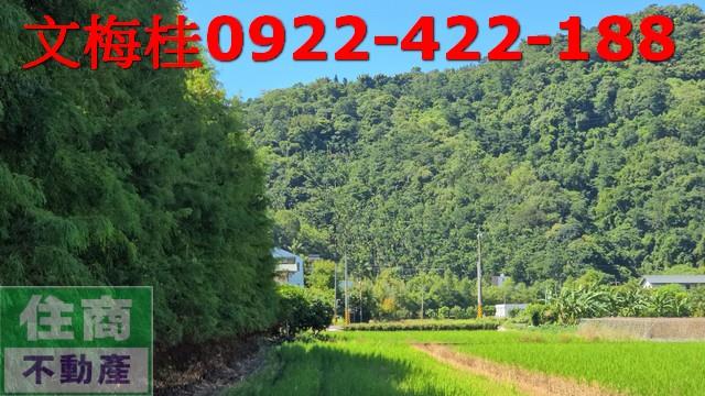 宜蘭農地-1