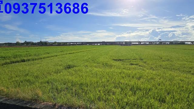 宜蘭農地-6