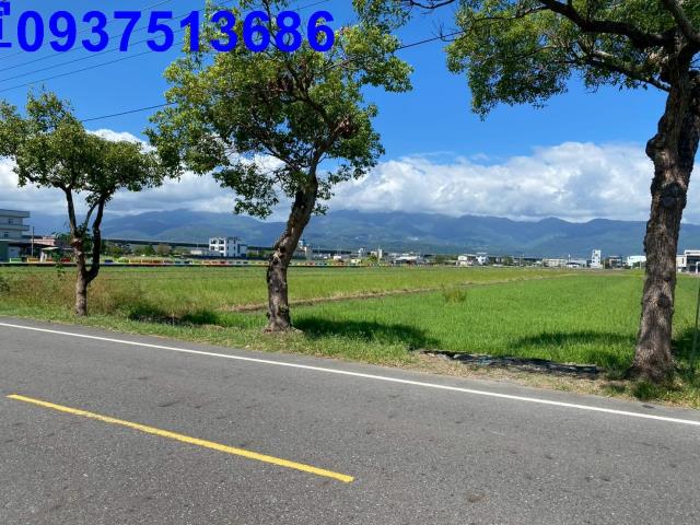 壯圍農地-11