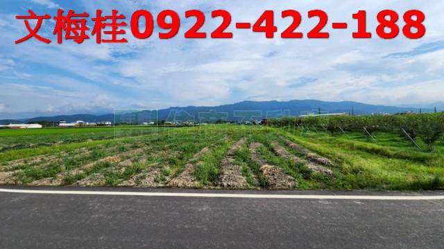 宜蘭農地-0
