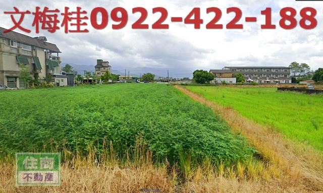 宜蘭農地-1