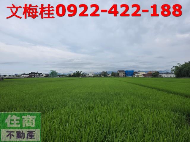 宜蘭農地-0