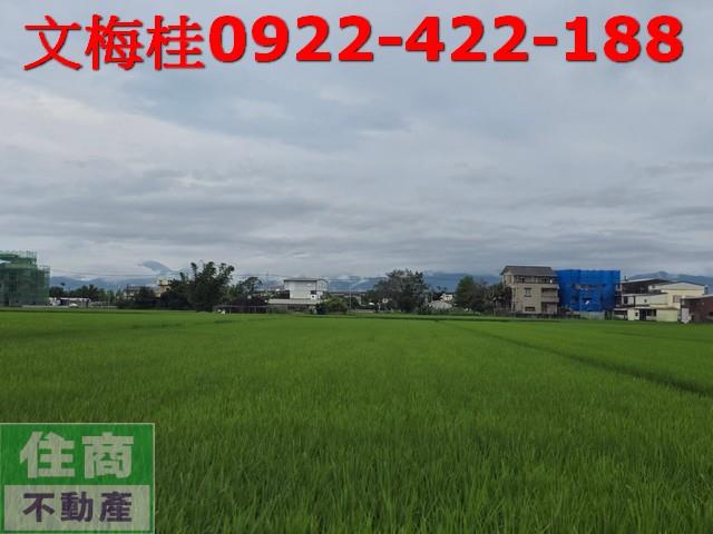 宜蘭農地-1