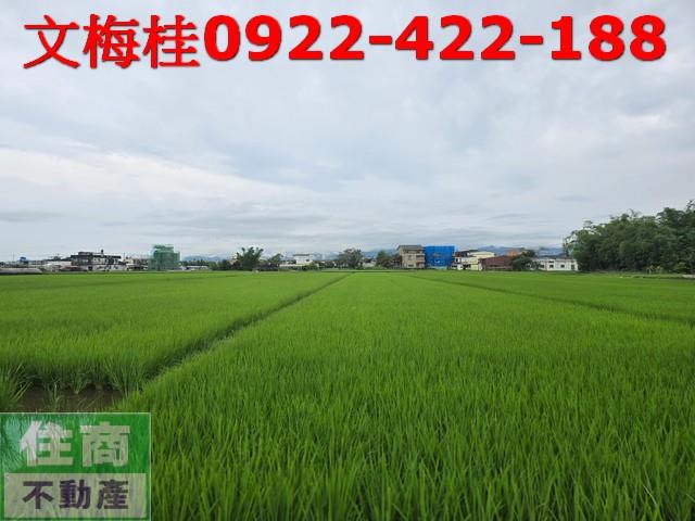 宜蘭農地-4