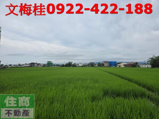 宜蘭農地-5
