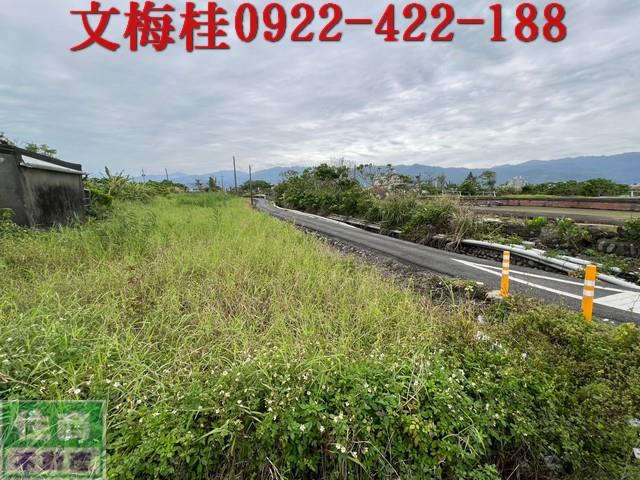 宜蘭農地-0