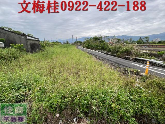宜蘭農地-1