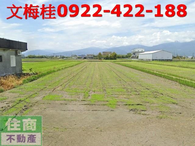 宜蘭農地-0