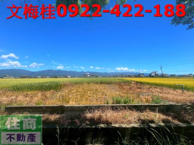 宜蘭農地-0